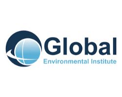 Global Environmental Institute